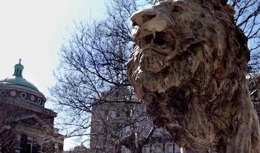 Lion Head Outside Dodge