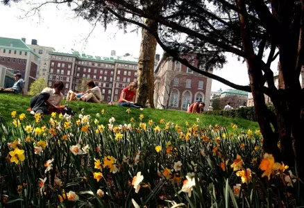 Spring Flowers at Columbia