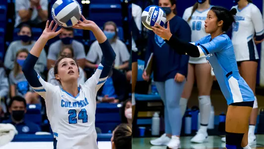 Volleyball Gronski Pan 2021