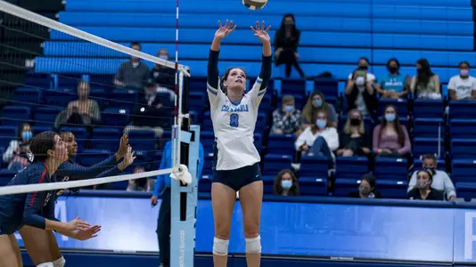 StengleinAction2_vPenn(2021)