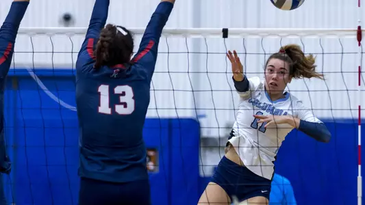 FosterAttack_Penn(2021)