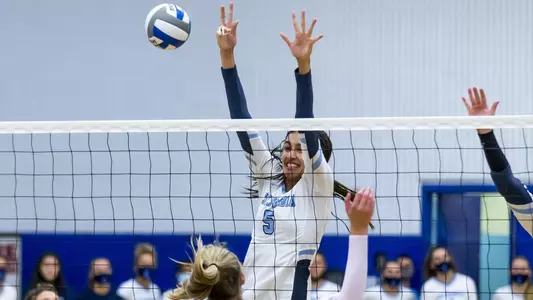 FranklinAction_SHU(2021)