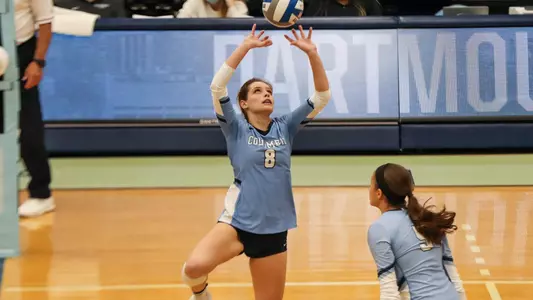 StengleinActionvDART_2021