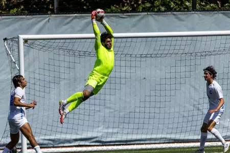 Collodi Leaping Grab GW