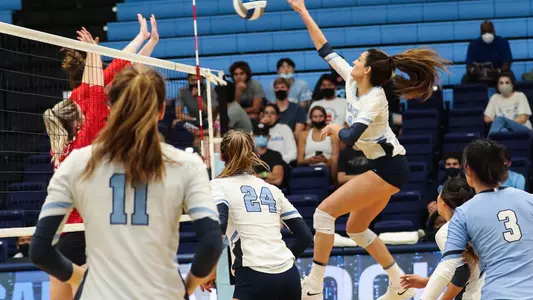 IsaAction_Cornell(2021)