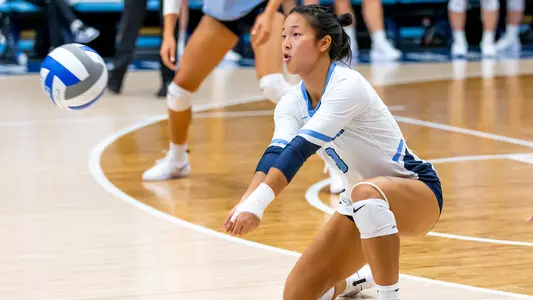 VB Preview 10.14 - 10.15