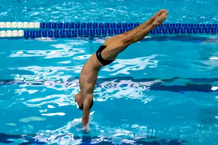 Men's swimming vs. Army
