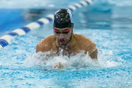 Demir Breaststroke