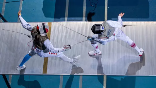 Bogdan Hamilton Action