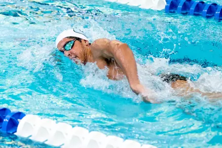 MSD Stock Action Shot