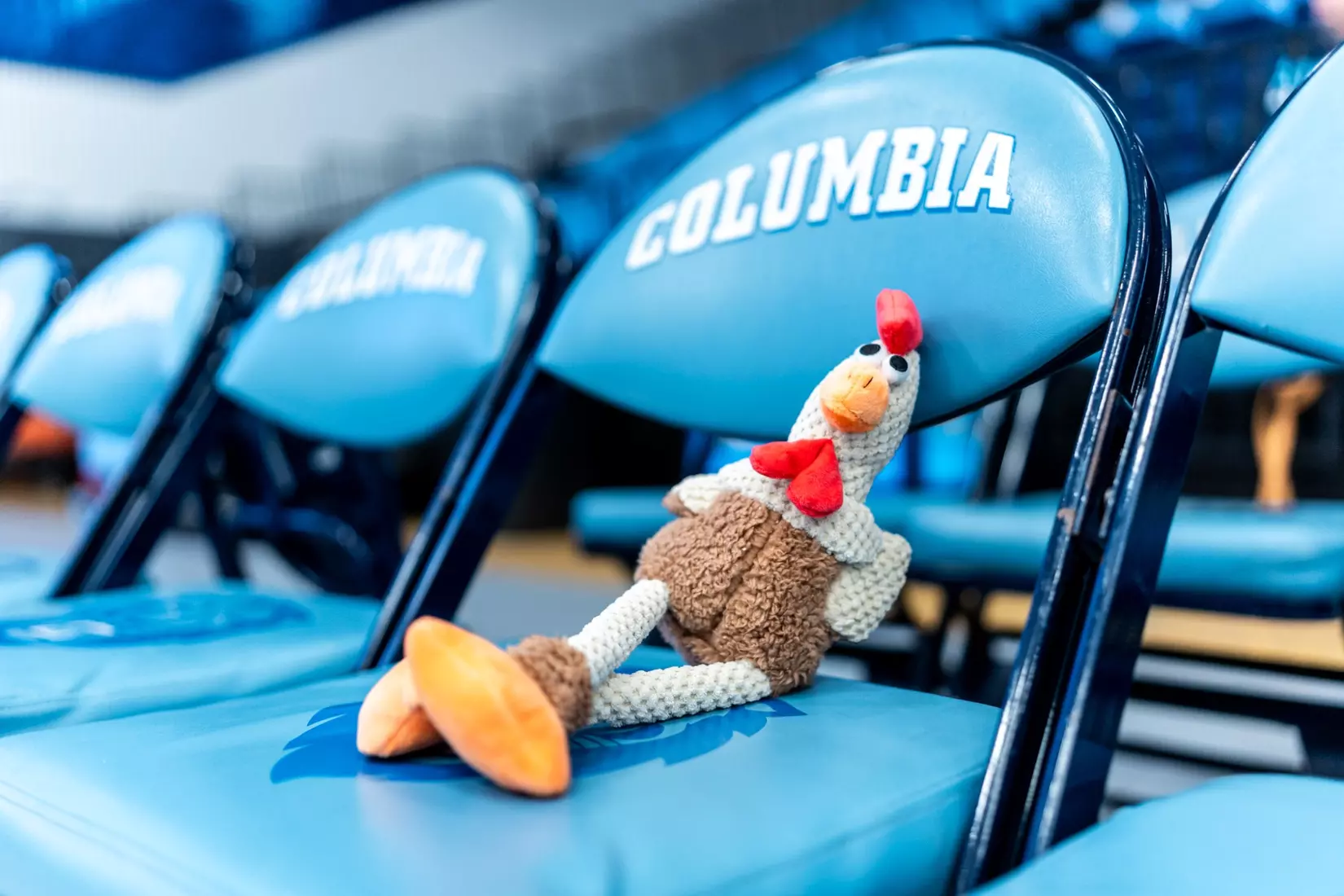 Columbia vs. Northeastern (Nov. 25, 2023)