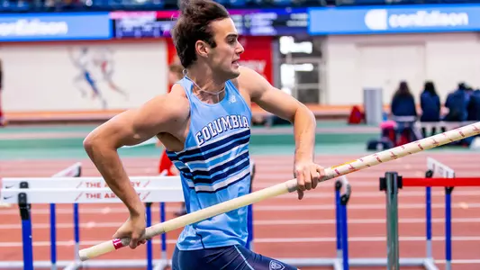 Track Lions on the Road