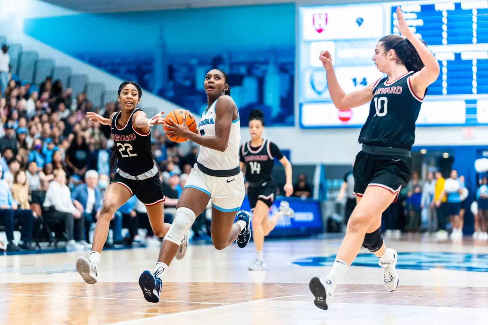 Columbia vs. Harvard (WNIT Great Eight)