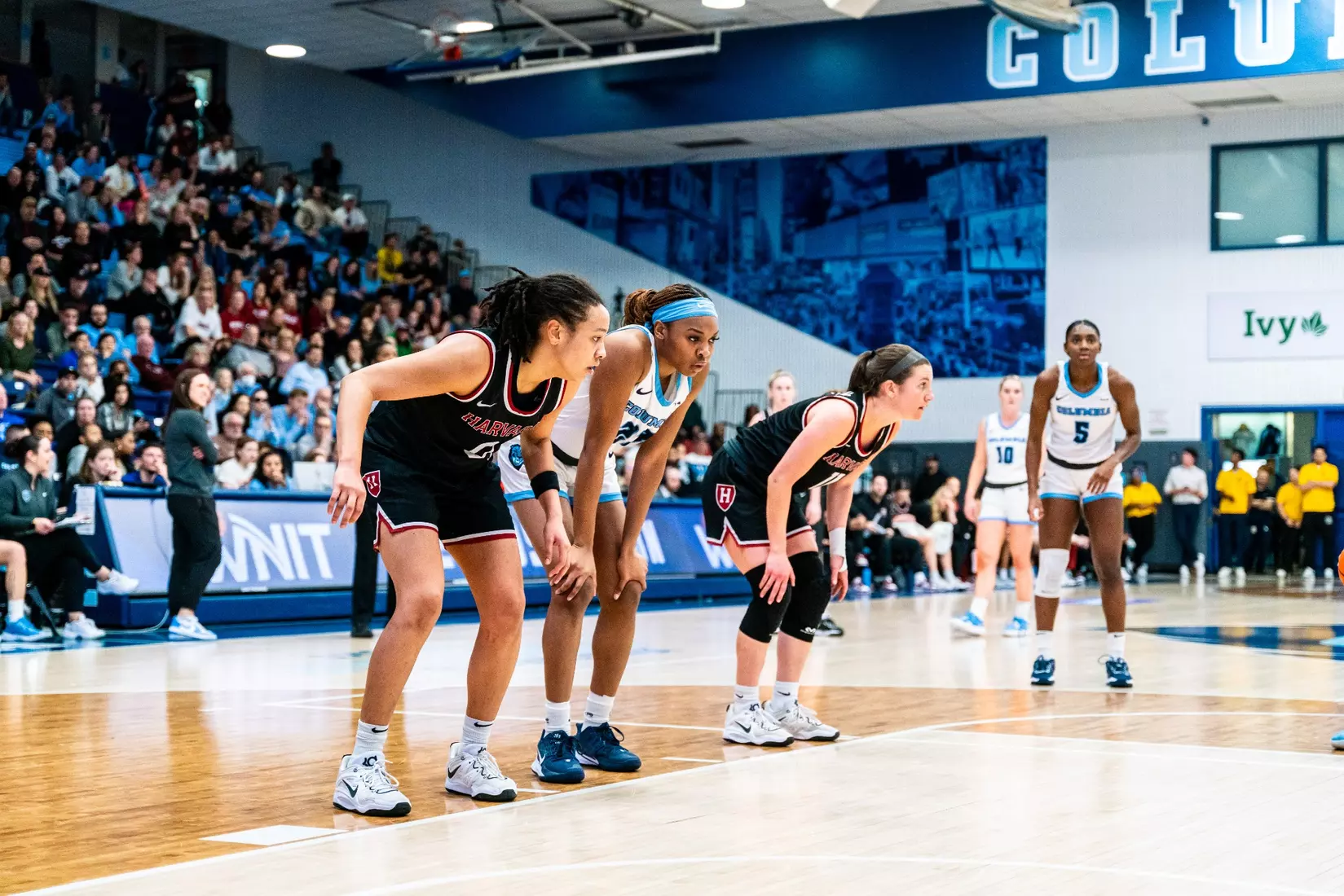 Columbia vs. Harvard (WNIT Great Eight)