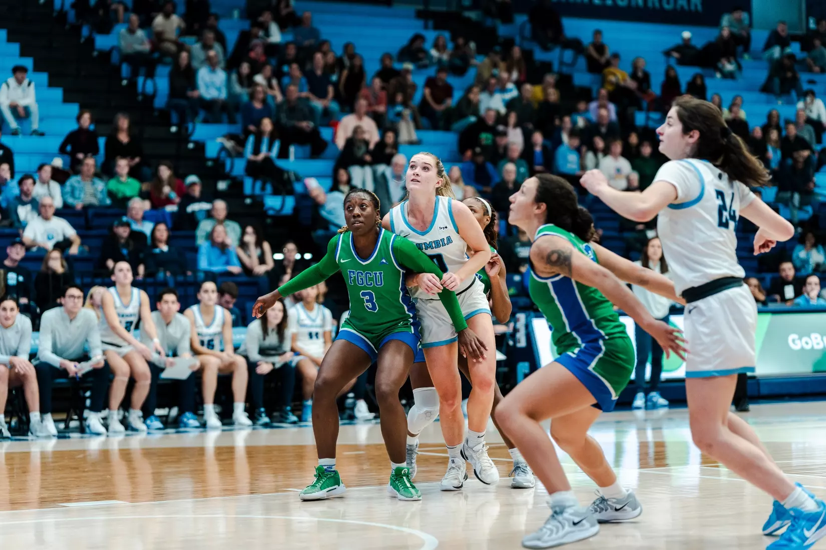 WBK: Columbia vs. FGCU (Nov. 11, 2024)