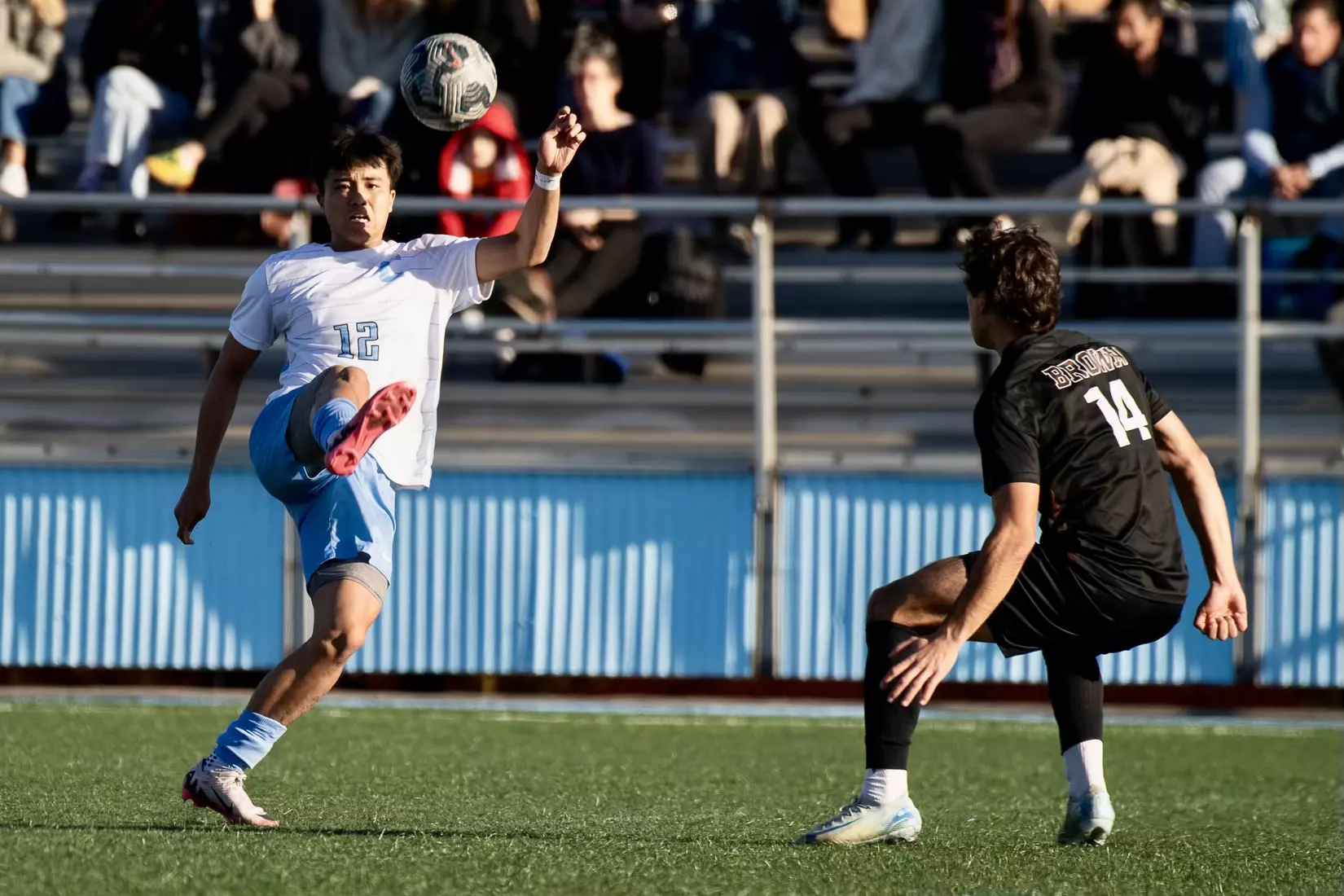 MSOC: Columbia vs. Brown (Nov. 3, 2024)