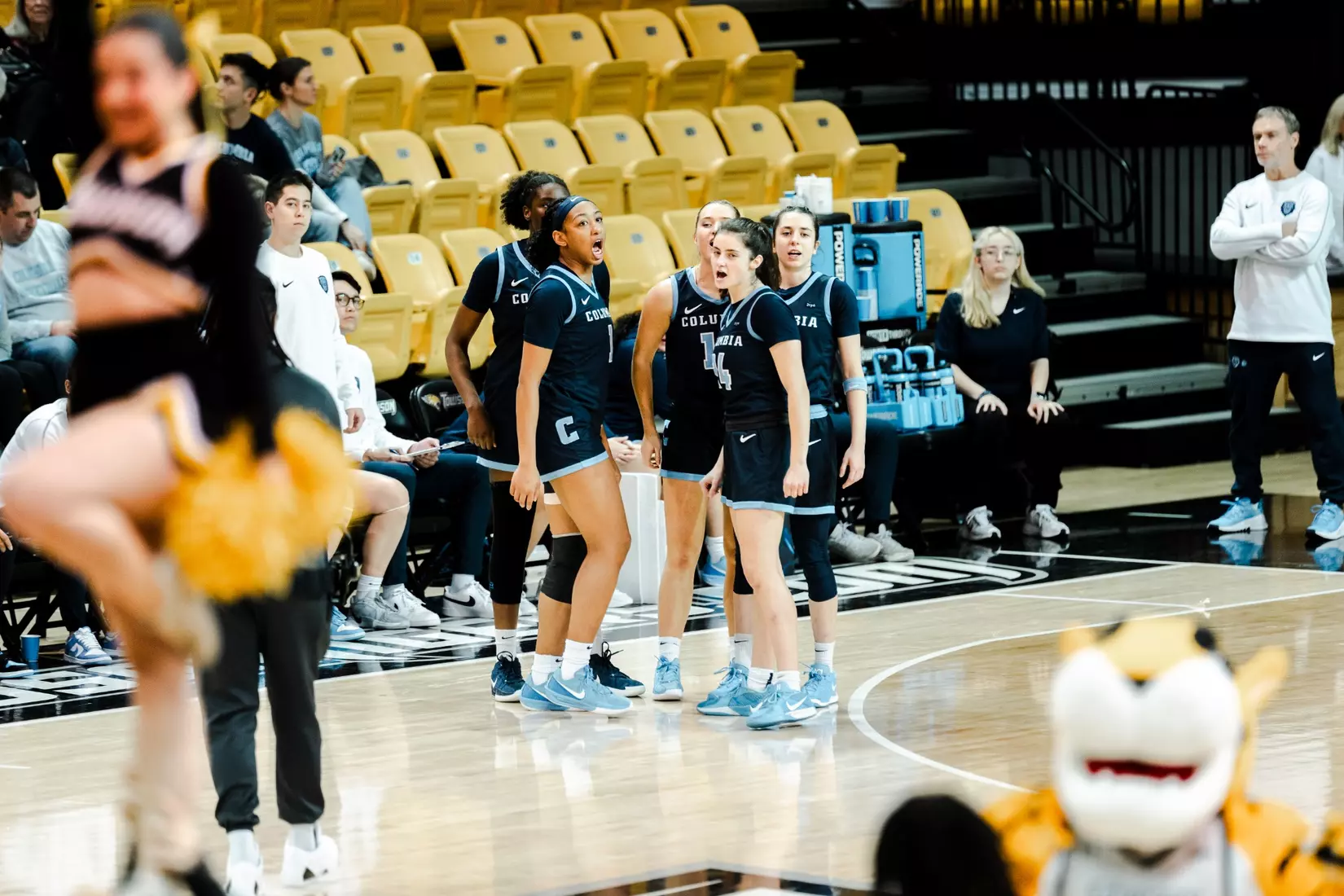 WBK: Columbia at Towson (Dec. 29, 2024)