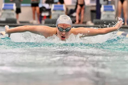 WSWIM Action
