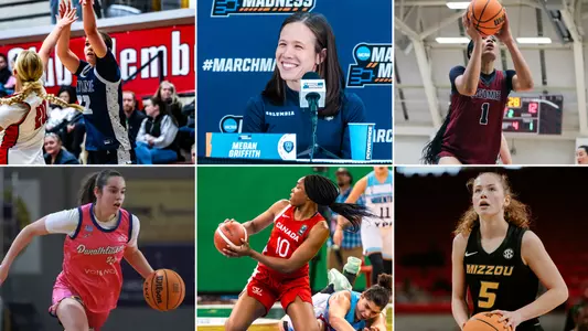 2025-26 Newcomers Headline