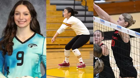 2025 Volleyball Newcomers graphic