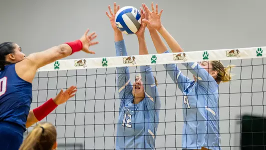 Volleyball block at the net