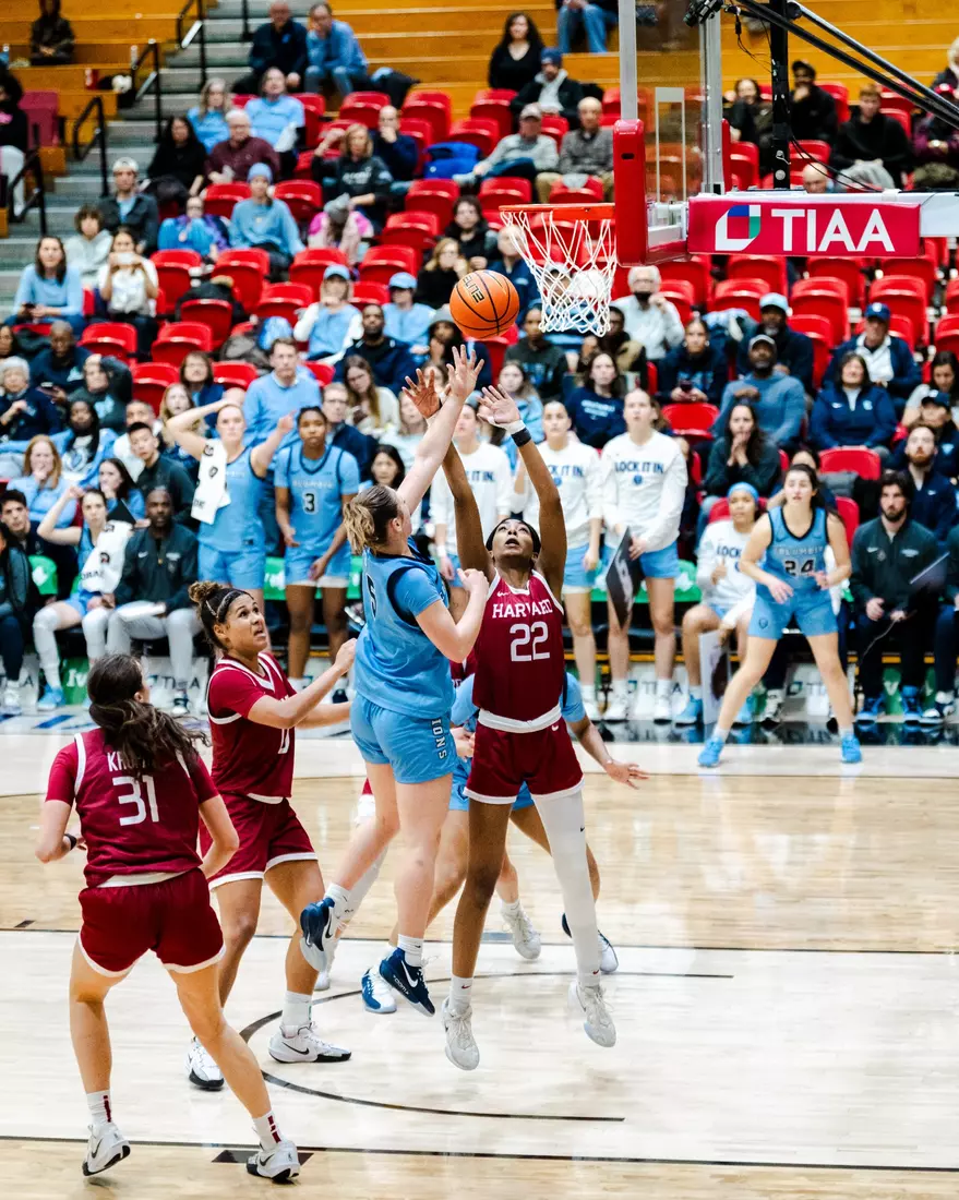Ivy Madness Semifinals