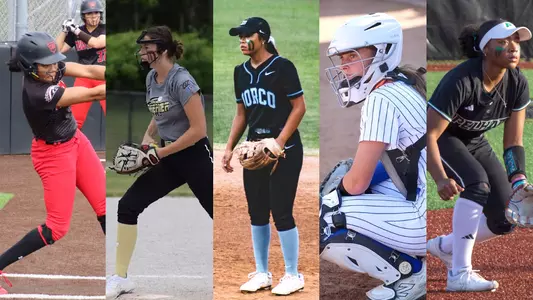 2027 Softball Newcomers graphic