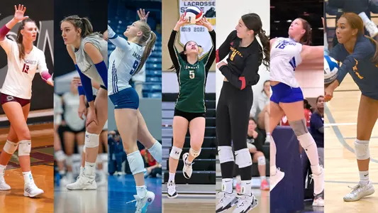 2026 Volleyball Newcomers graphic