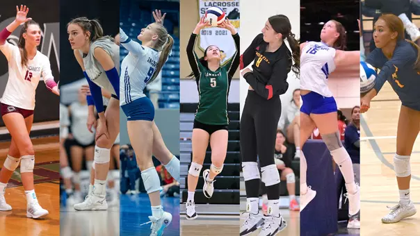 2026 Volleyball Newcomers graphic