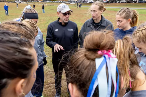 xc preview