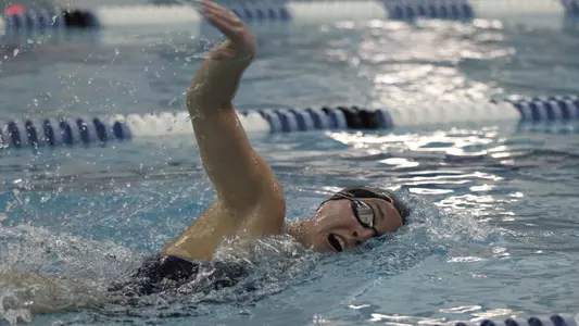 Francesca Tocci Senior Profile