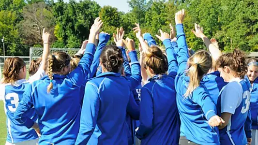 Mollie Mackler Blog #4