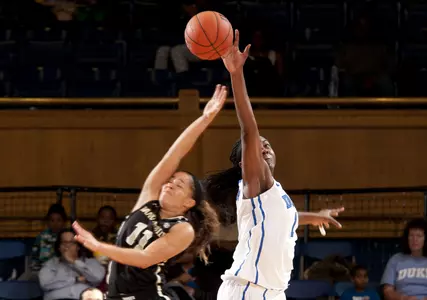 Blue Devil Game Notes: Paradise Jam (Nov. 28-30)
