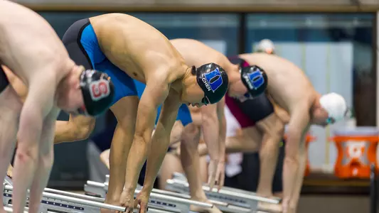 Swimming & Diving Nets Scholar All-America Honors