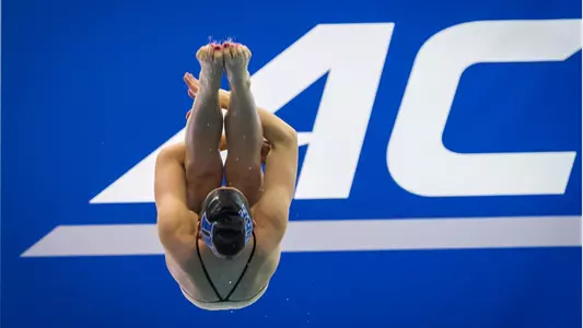 Women?s Swimming & Diving Opens Action at ACCs