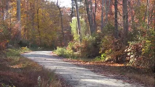 Blue Devils Add Six Women to the 2017-18 XC Campaign