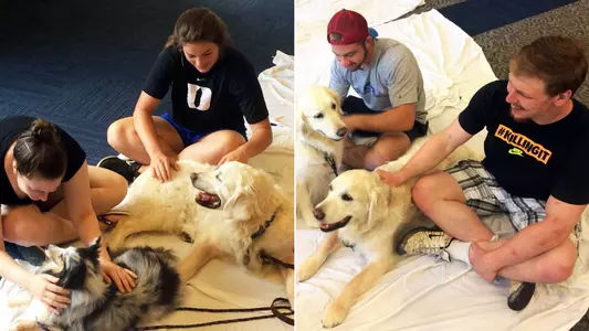 "PAWS" Before the Home Stretch