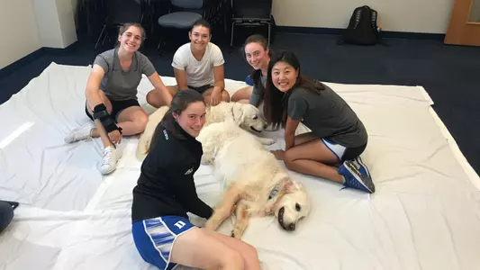 Student-Athletes “Paws” to De-Stress