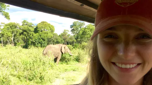 Debree: Tea Adventure Reflections