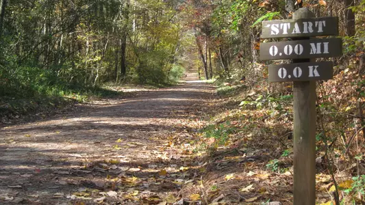 Duke Cross Country to Not Participate This Weekend