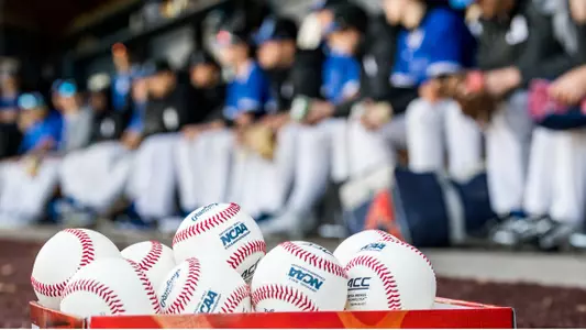 Baseball Elects 2019 Team Captains