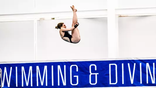 Blue Devil Divers Set Sights on Zone Championships