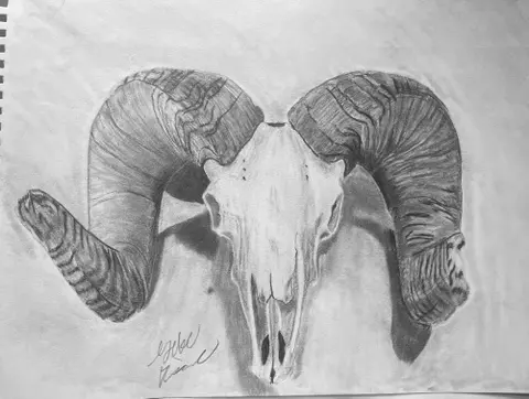 Gabe Dinette ram drawing