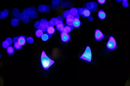 People wearing light up Blue Devil horns are illuminated in the dark.