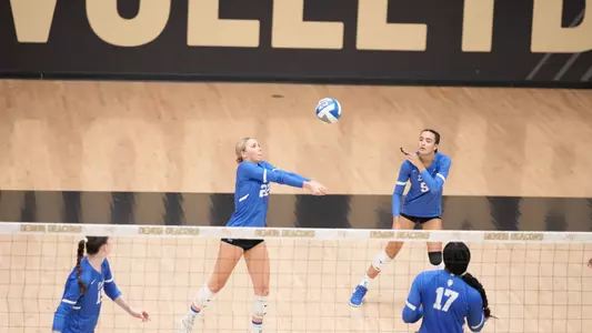 Volleyball at Wake Forest