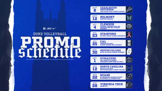 Volleyball Promotional Graphic