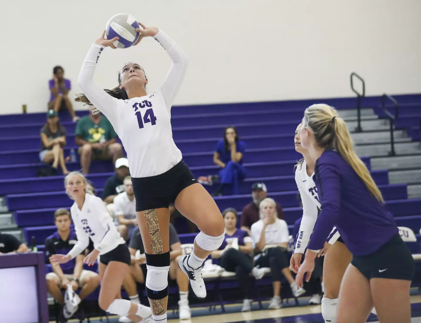 TCU volleyball purple white scrimmage in Fort Worth, Texas on August 24, 2019. (Photo/Sharon Ellman)