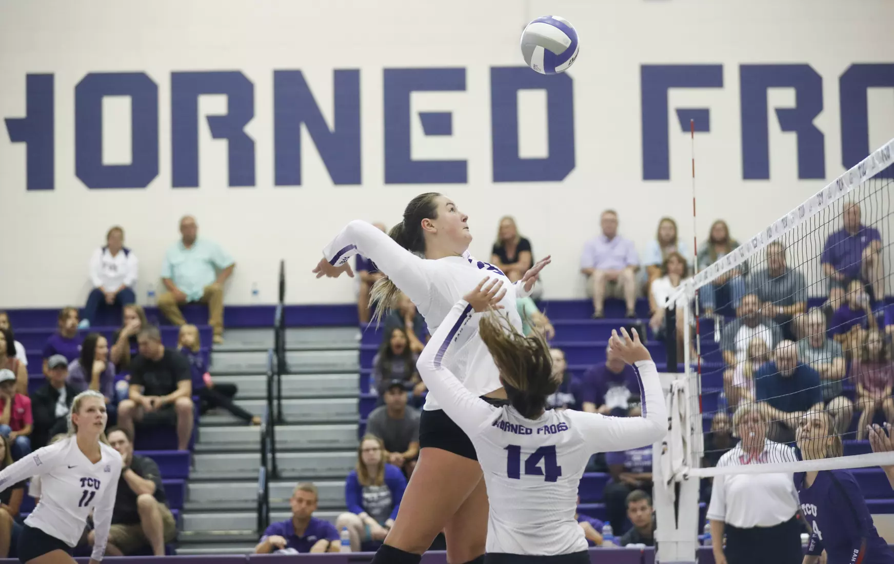 TCU volleyball purple white scrimmage in Fort Worth, Texas on August 24, 2019. (Photo/Sharon Ellman)