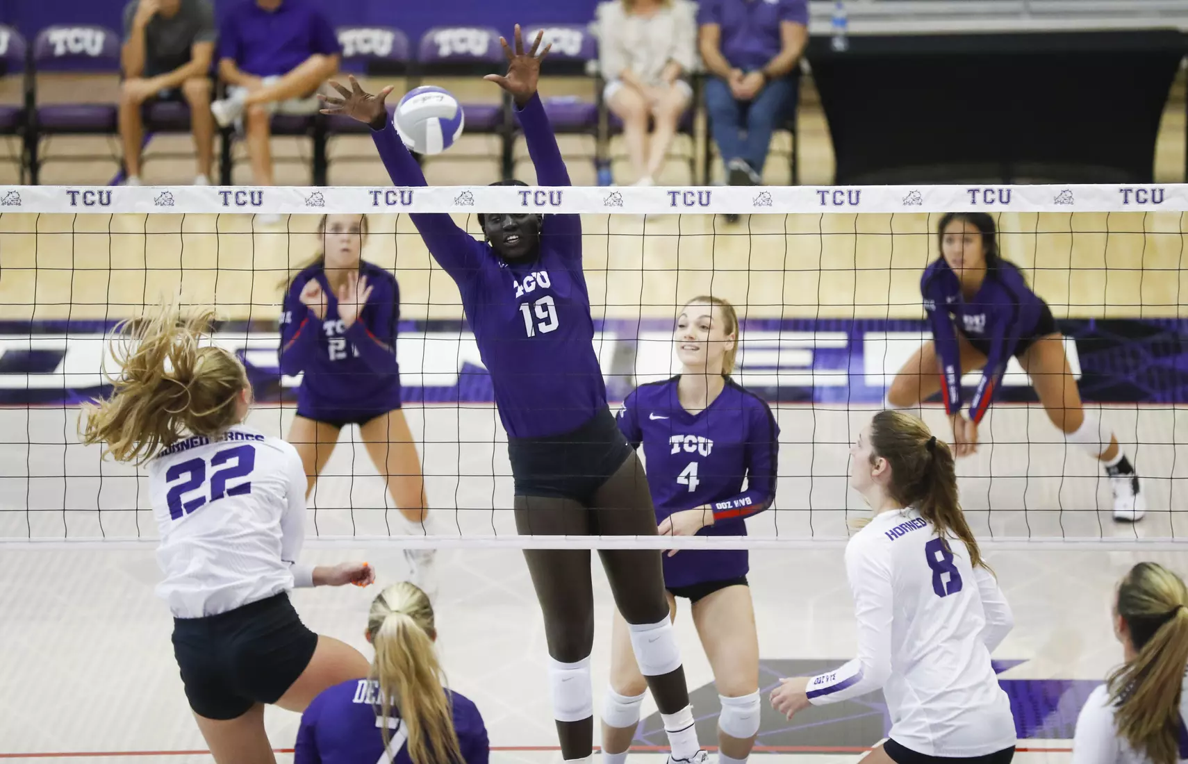 TCU volleyball purple white scrimmage in Fort Worth, Texas on August 24, 2019. (Photo/Sharon Ellman)