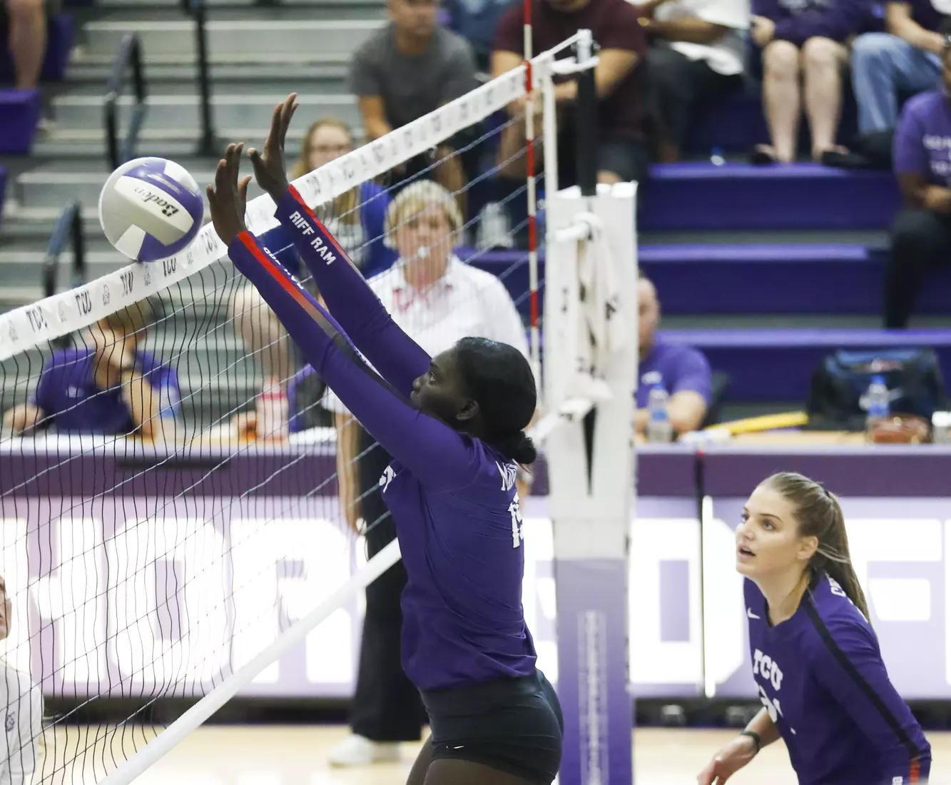 TCU volleyball purple white scrimmage in Fort Worth, Texas on August 24, 2019. (Photo/Sharon Ellman)